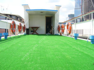 Теплоход Фалькон