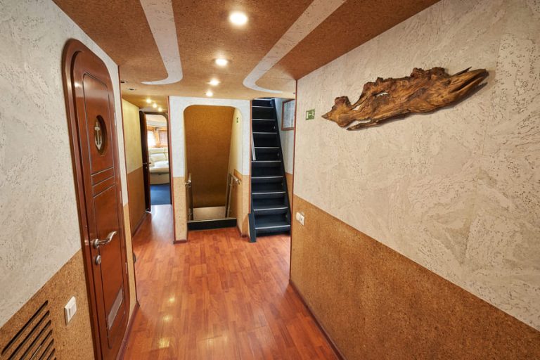 Теплоход Дельфин