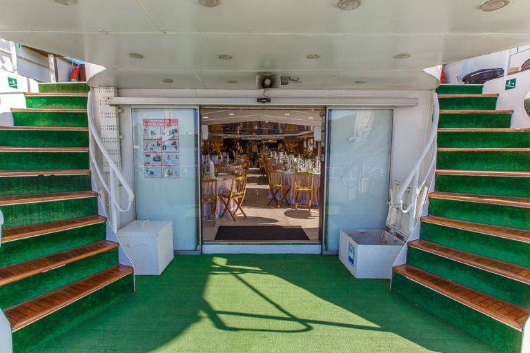 Корабль пальма Сочи-12