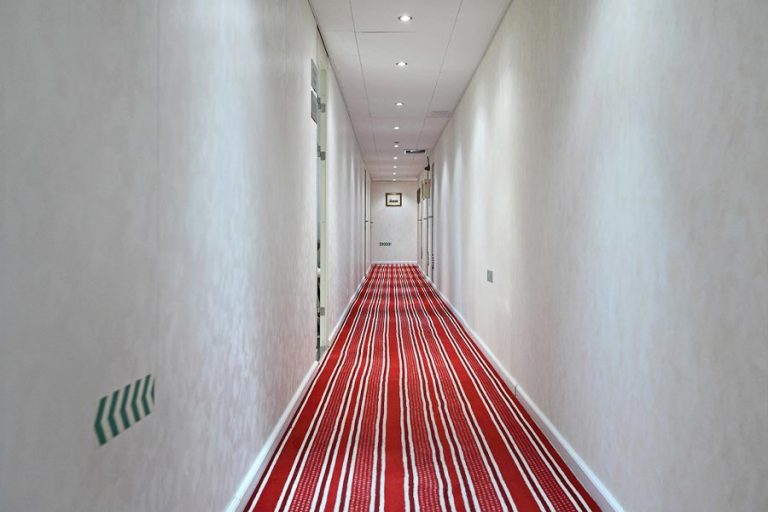 Теплоход Княжна Виктория