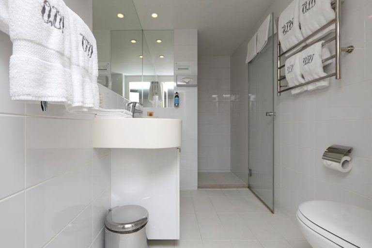 Теплоход Княжна Виктория