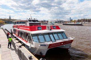 snegiri-01 snegiri-01