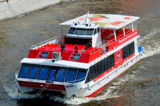 snegiri-02 snegiri-02